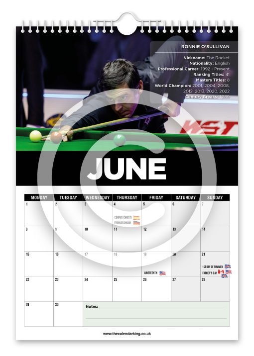 Snooker Legends Novelty Calendar - Image 7