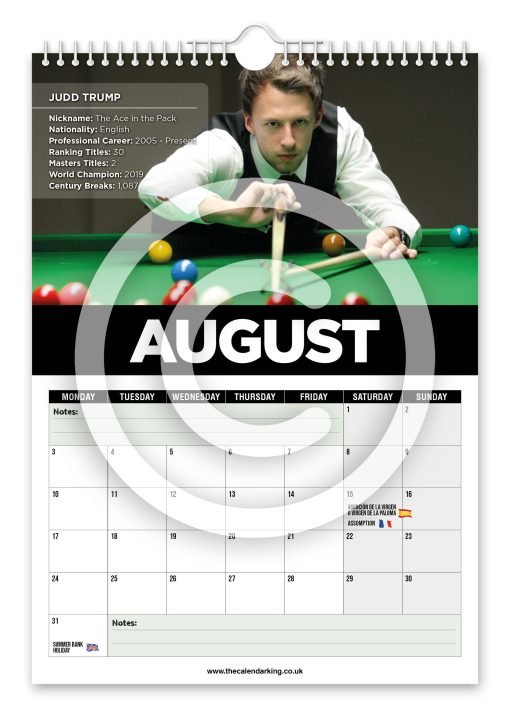 Snooker Legends Novelty Calendar - Image 9