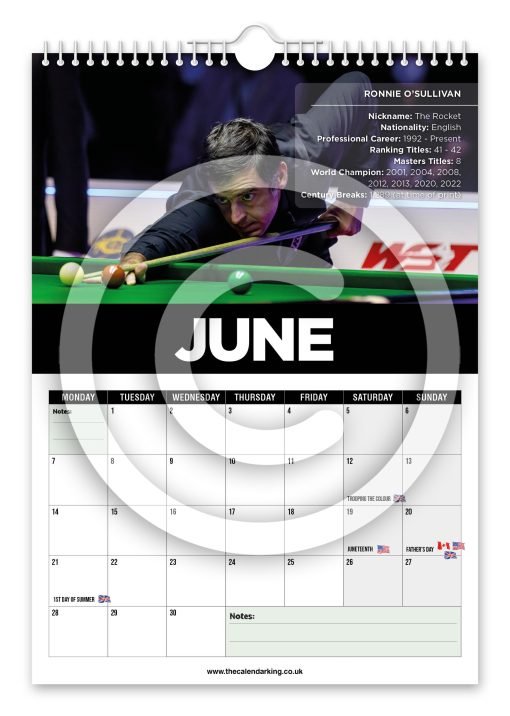 Snooker Legends Novelty Calendar - Image 7