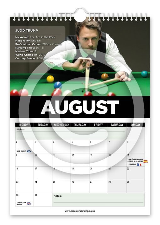 Snooker Legends Novelty Calendar - Image 9