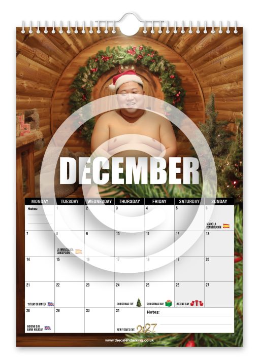 The Naked Un Novelty Calendar - Image 13