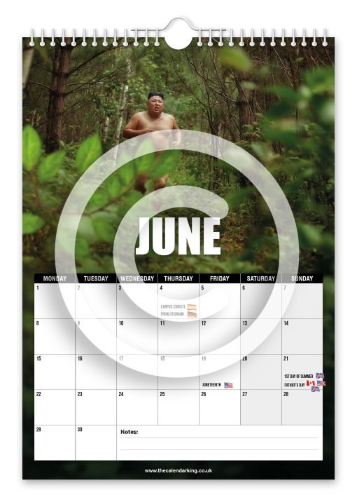 The Naked Un Novelty Calendar - Image 7