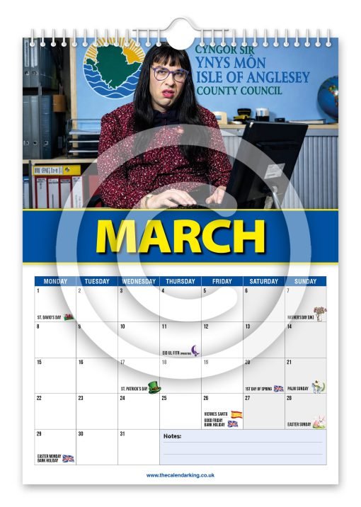 Anglesey Council Novelty Calendar - Image 4
