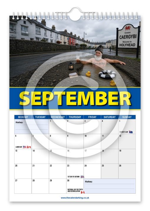 Anglesey Council Novelty Calendar - Image 10