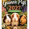 Guinea Pigs Novelty Calendar