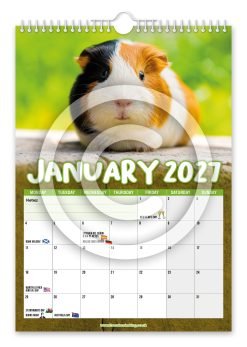 Alternative view of Guinea Pigs Novelty Calendar