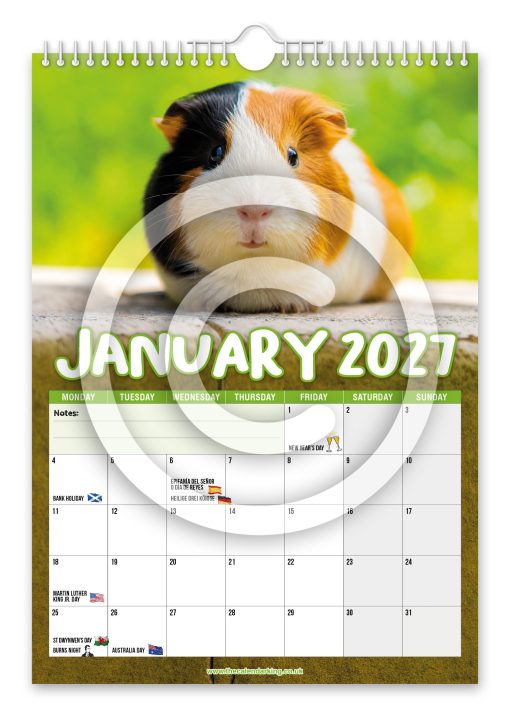 Guinea Pigs Novelty Calendar - Image 2