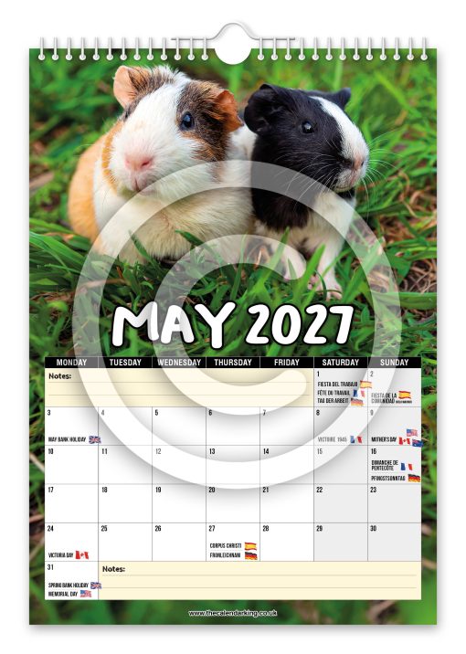 Guinea Pigs Novelty Calendar - Image 6