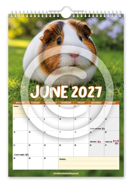 Guinea Pigs Novelty Calendar - Image 7