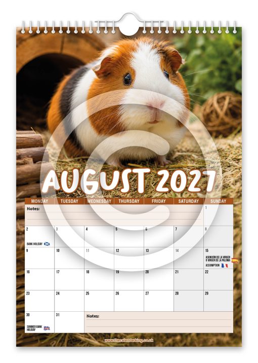 Guinea Pigs Novelty Calendar - Image 9