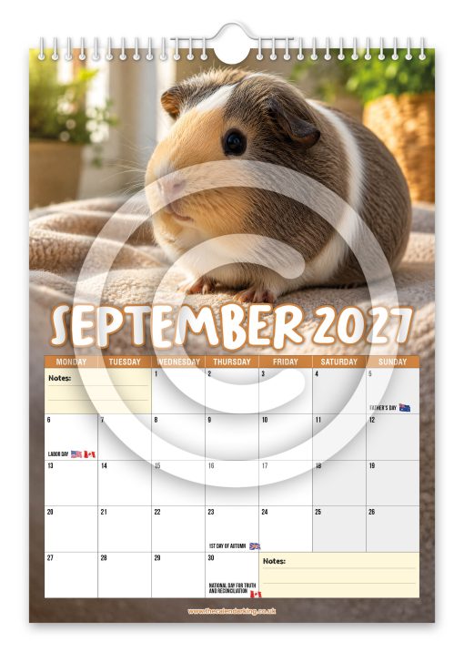 Guinea Pigs Novelty Calendar - Image 10