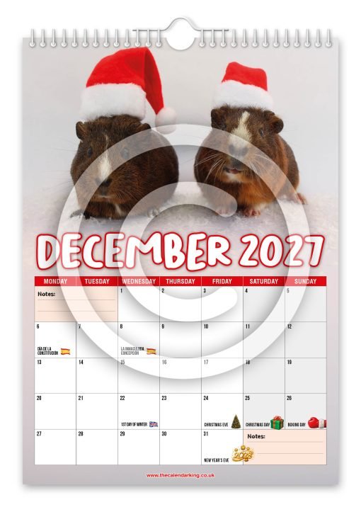 Guinea Pigs Novelty Calendar - Image 13