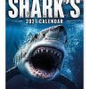 Sharks Novelty Calendar