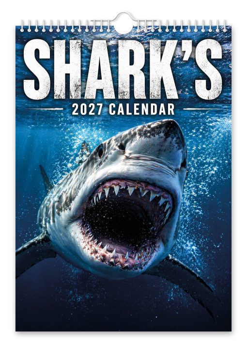 Sharks Novelty Calendar