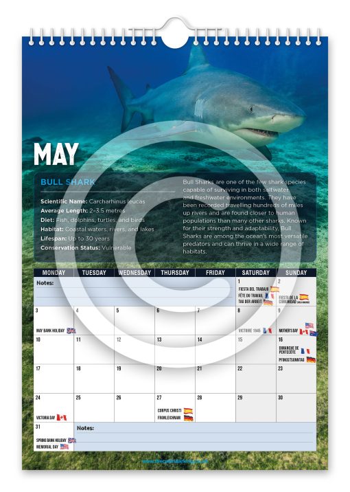 Sharks Novelty Calendar - Image 6