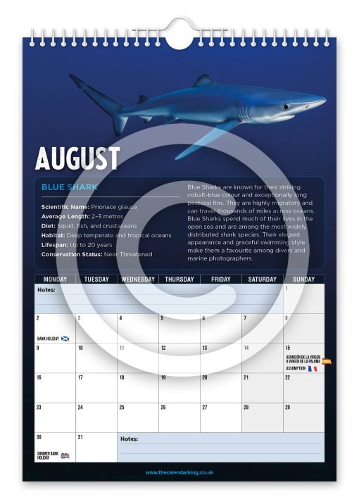 Sharks Novelty Calendar - Image 9