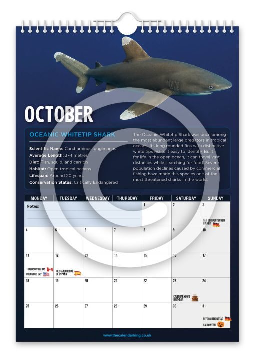 Sharks Novelty Calendar - Image 11
