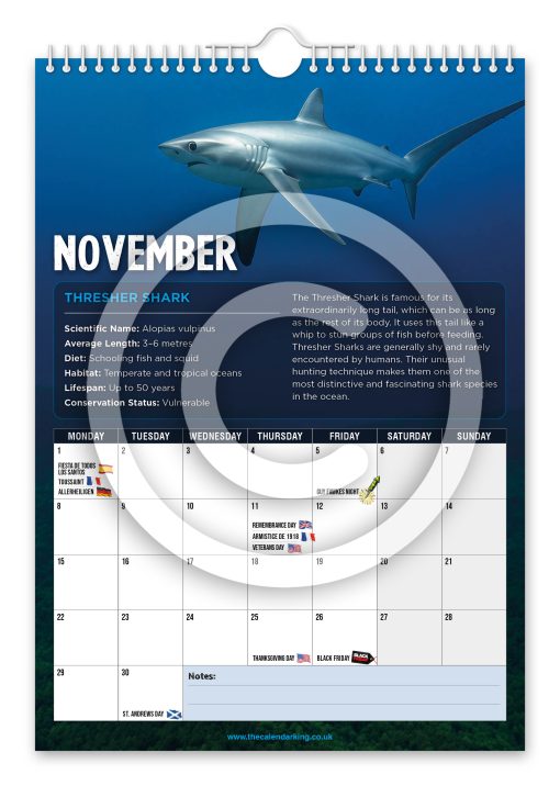 Sharks Novelty Calendar - Image 12