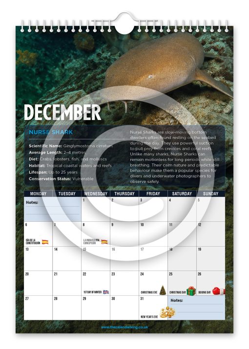 Sharks Novelty Calendar - Image 13