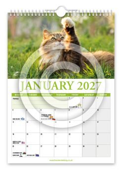 Alternative view of Cat Lovers Novelty Calendar