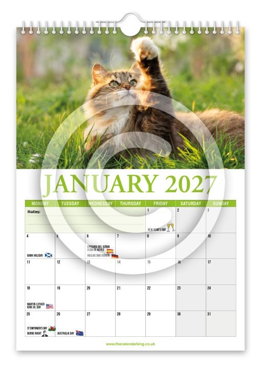 Cat Lovers Novelty Calendar - Image 2