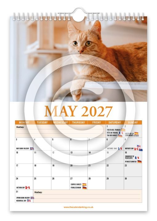 Cat Lovers Novelty Calendar - Image 6