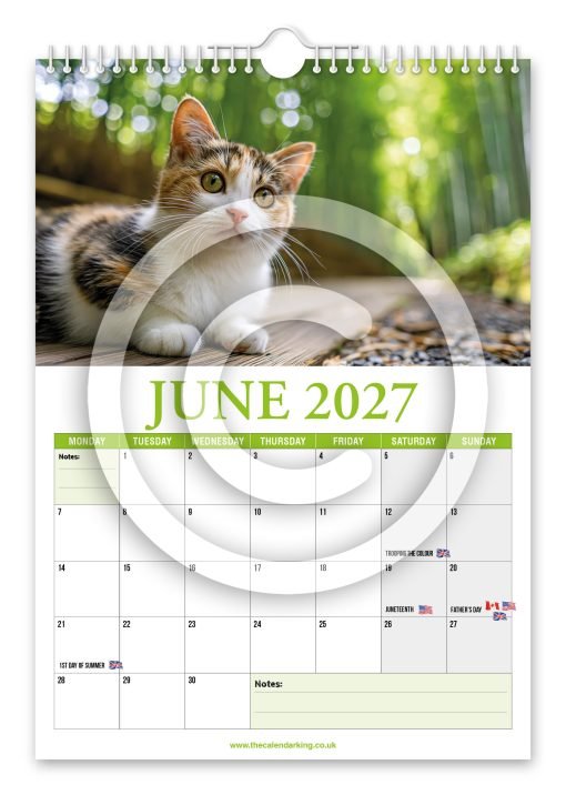 Cat Lovers Novelty Calendar - Image 7