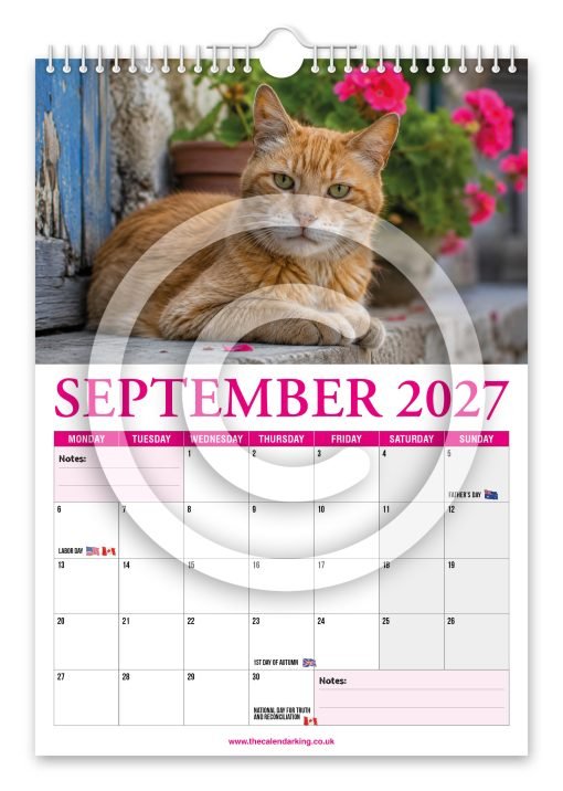 Cat Lovers Novelty Calendar - Image 10