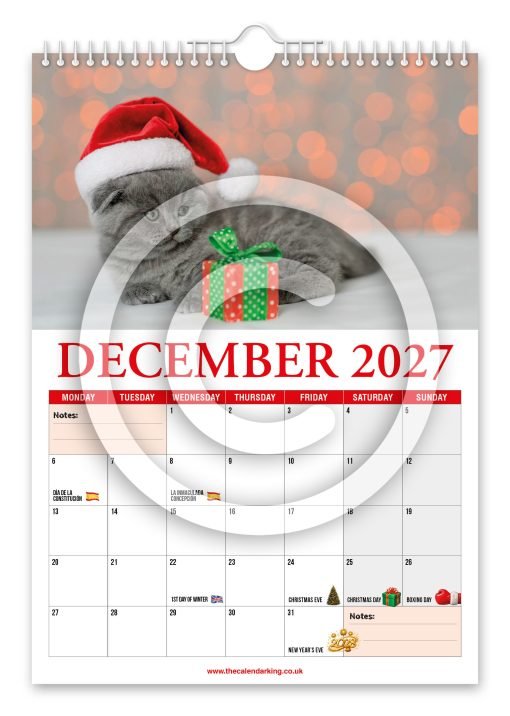 Cat Lovers Novelty Calendar - Image 13