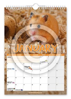 Alternative view of Hamsters Novelty Calendar