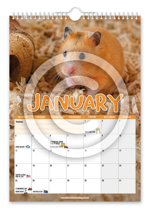 Hamsters Novelty Calendar - Image 2