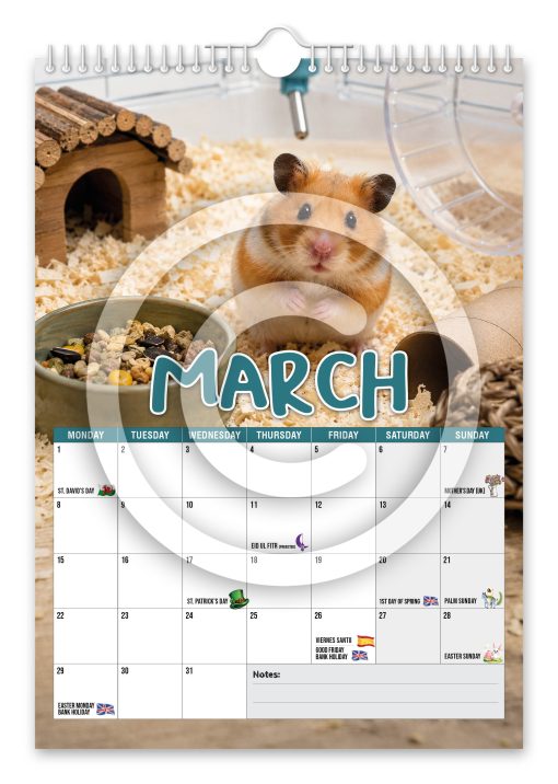 Hamsters Novelty Calendar - Image 4