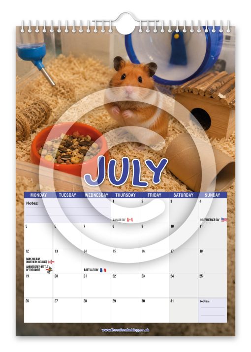 Hamsters Novelty Calendar - Image 8
